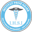 logo IHSI B e1718105848868